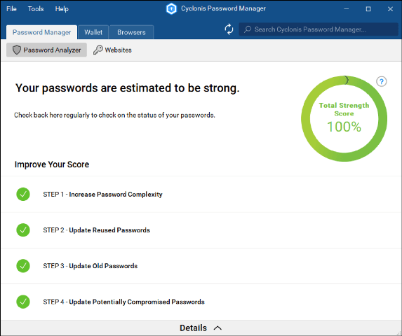 Password analyzer