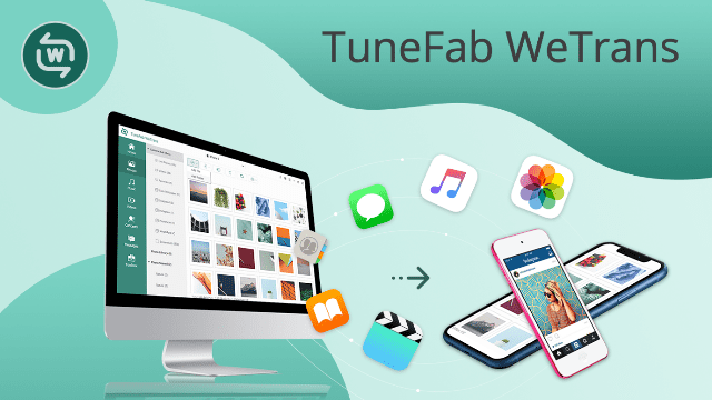 TuneFab WeTrans