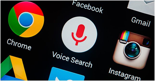 Voice Search Domination