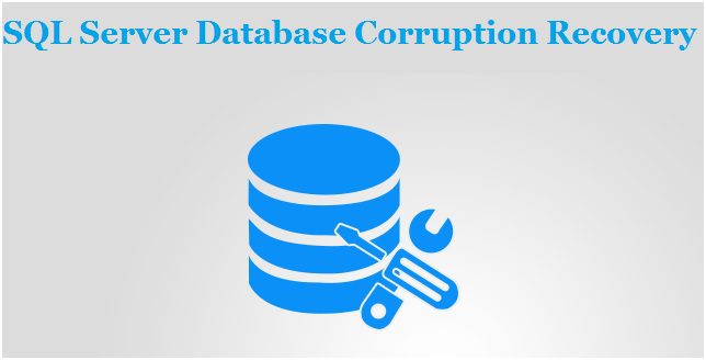 Useful Tips For SQL Server Database Corruption Recovery