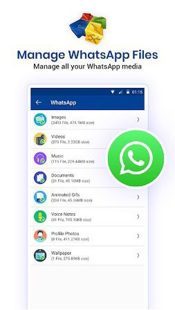 manage WhatsApp media 