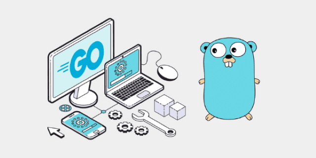 List of Top IDEs and Tools Used for Golang Development