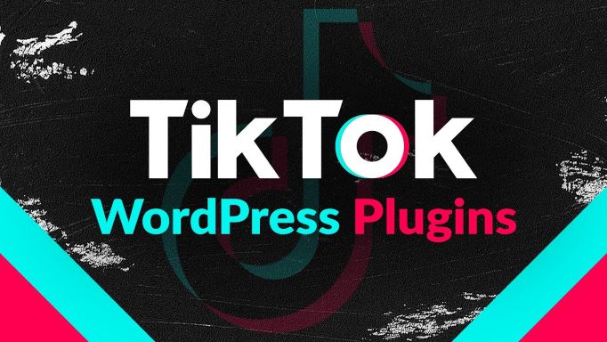 TikTok Video Feed Plugins for WordPress 